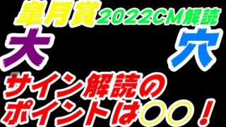 皐月賞22サイン読み最終予想 解読は井森美幸さんとホリプロつながり Myalive Note